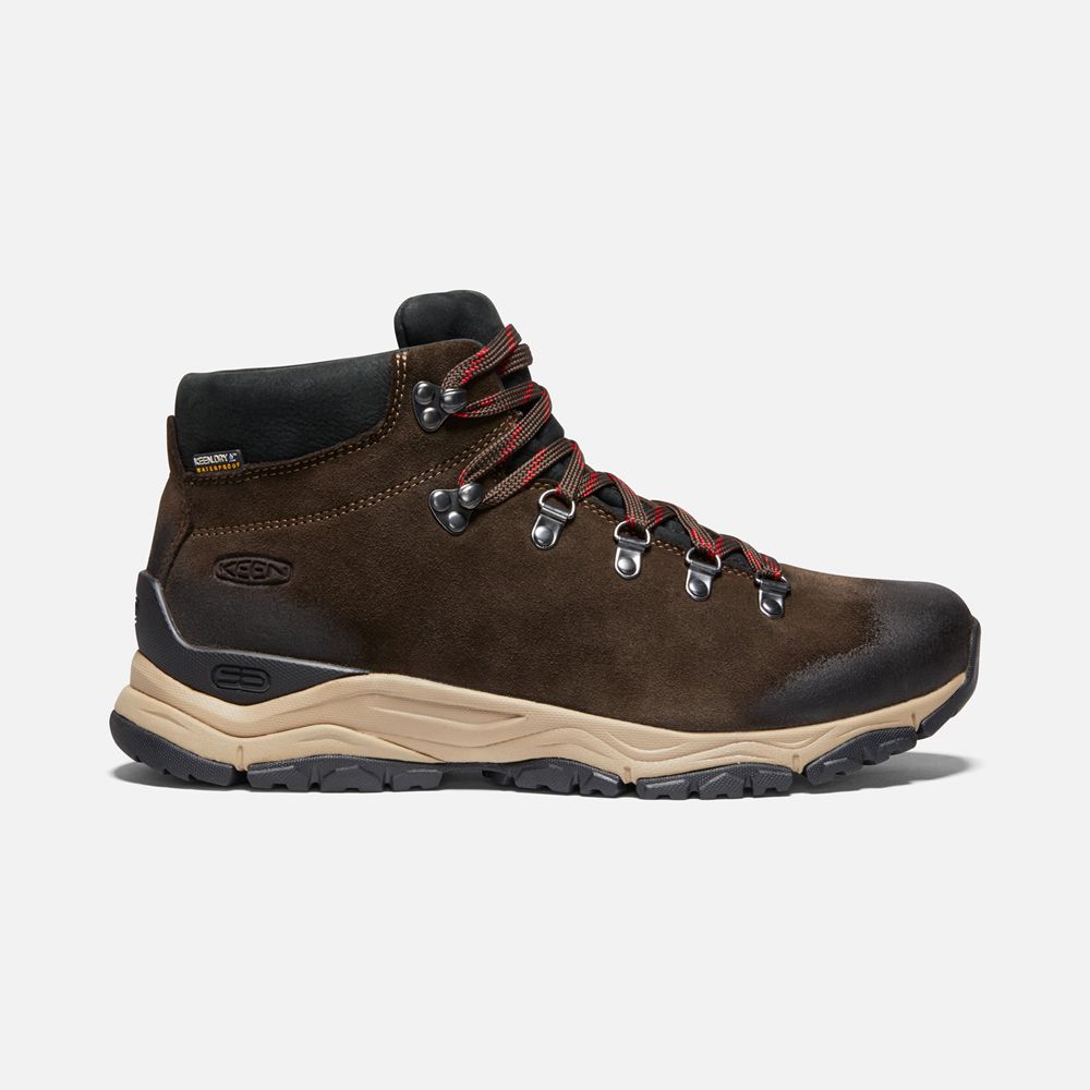 Bottes de Randonnée Keen Homme Marron | Feldberg Apx Waterproof | IESPX-1923